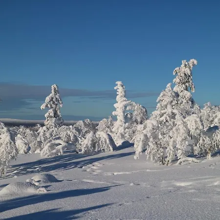 Polaris Homes Huippu 아파트 *