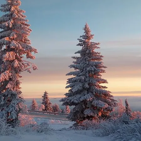 Polaris Homes Huippu Lägenhet