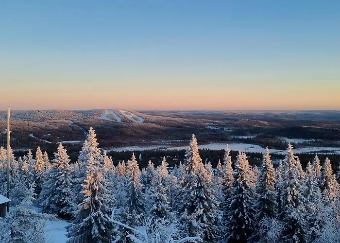 Polaris Homes Huippu Syöte