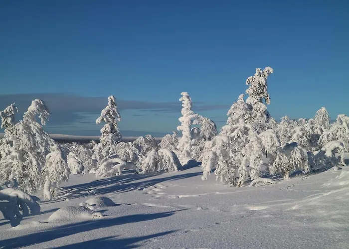 Polaris Homes Huippu Apartamento *