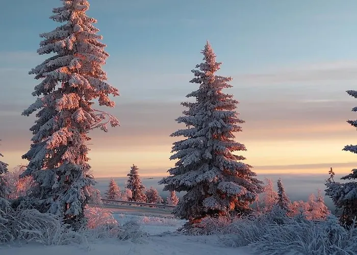 Polaris Homes Huippu Lägenhet